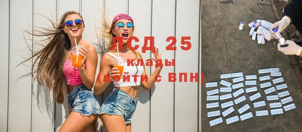 ПСИЛОЦИБИНОВЫЕ ГРИБЫ Алексин