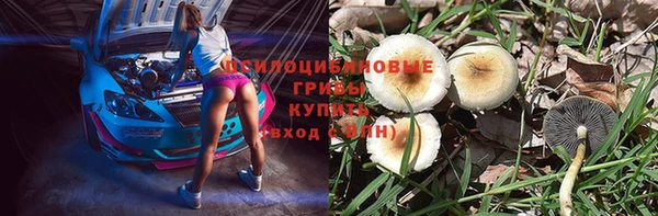 герыч Алексеевка