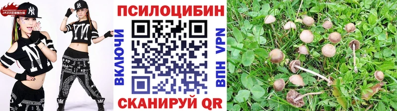 закладка  блэк спрут ссылки  Псилоцибиновые грибы Psilocybe  Ноябрьск 