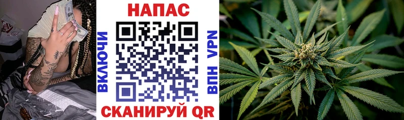 Бошки марихуана Ganja  дарнет шоп  Ноябрьск 